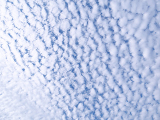 青空と雲/巻積雲（11月）