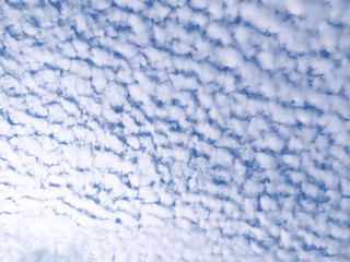青空と雲/巻積雲（11月）
