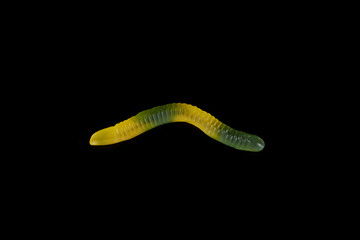 gummy jelly worm candy on a black background.