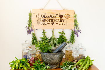 Herbal Apothecary with herb dryer, fresh herbs, jars and mortar and pestle