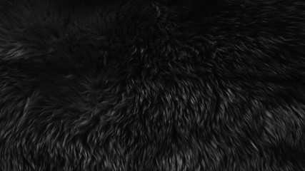Black wool texture background, dark natural sheep wool, black seamless cotton, texture of gray fluffy fur, close-up fragment of black wool carpet