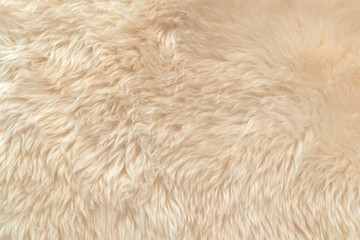 White soft wool texture background, cotton wool, light natural animal wool, close-up texture of...