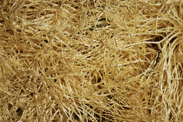 Fondo Pajar