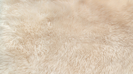 White soft wool texture background, cotton wool, light natural animal wool, close-up texture of...