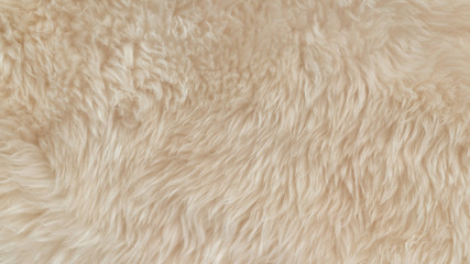White soft wool texture background, cotton wool, light natural animal wool, close-up texture of white fluffy fur, wool with beige tone, fur with a delicate peach tint