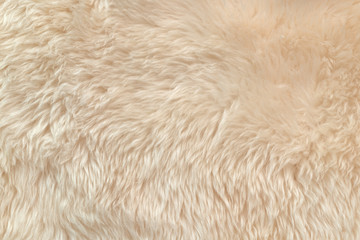 White soft wool texture background, cotton wool, light natural animal wool, close-up texture of white fluffy fur, wool with beige tone, fur with a delicate peach tint