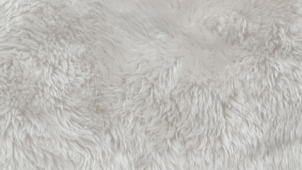 White wool texture background, light natural animal wool, white seamless cotton, texture of fluffy fur for designers, close-up fragment white wool carpet