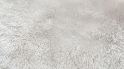 White wool texture background, light natural animal wool, white seamless cotton, texture of fluffy...