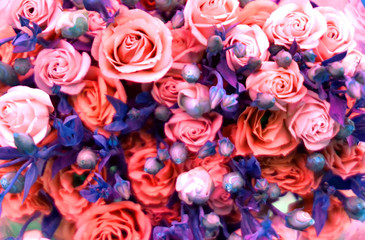 Soft focus on rose flower decorate as bouquet, beautiful texture on floral floor, flowery pattern background, flowery texture background, rose flower background, pink flowery, pink rose, roseate shade