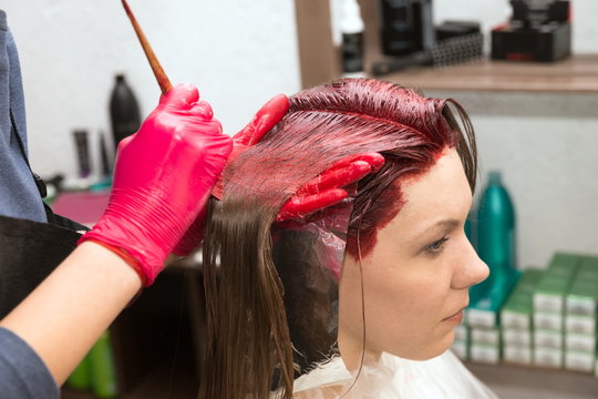 The Hands Of A Hairdresser In Red Gloves Paints With A Brush The Hair In Red Color Of A Client Girl. 