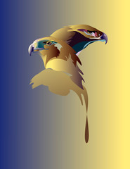  Abstract graphic illustration of two eagle heads, colorful vector logo design - 257579832