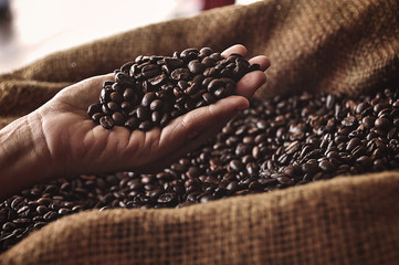 coffee beans on hand