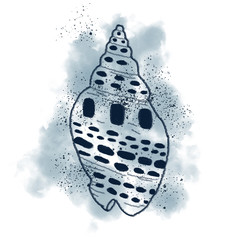 shell 2