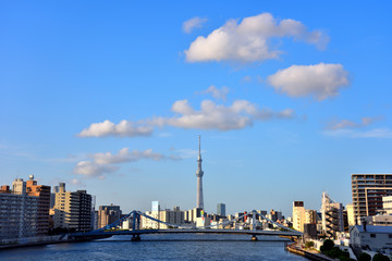 Naklejka premium 東京スカイツリーの上に浮かぶ白い雲