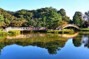 Fototapeta na wymiar 快晴の池に映る称名寺の景色