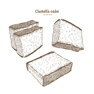 Japanese sponge cake - castella. Hand draw sketch vector.