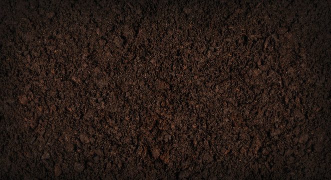 Soil texture background