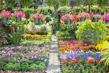 Beautiful colorful flower background.