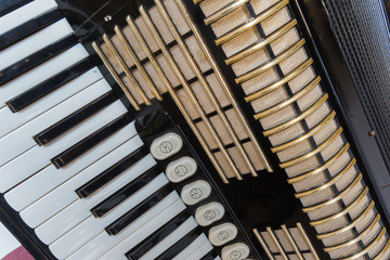 closeup accordion