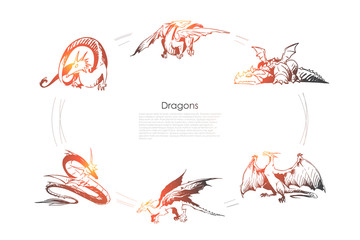 Dragons - different types of dragons vector concept set