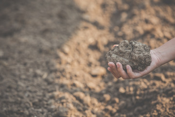 Women farmers are researching the soil.