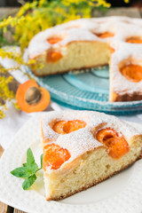 A piece of pie with apricots decorated with powdered sugar