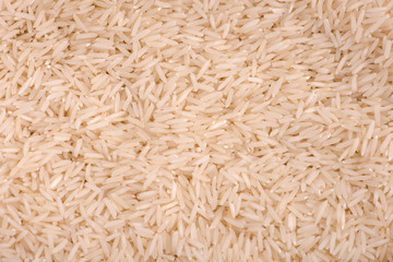 rice closeup. rice seeds. rice harvest