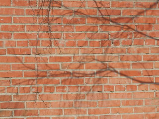 Obraz premium red brick wall background