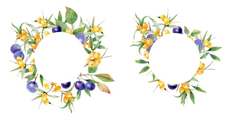 Fototapeta premium Wreath of berries of torn and sea-buckthorn. Suitable for cards, invitations