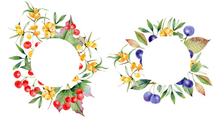 Wreath of  berries of torn and sea-buckthorn. Suitable for cards, invitations