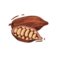 Bertholletia excelsa concept. Culture and traditions of Mexico.