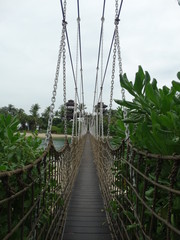 Fototapeta premium bridge path