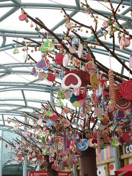 Colorful candy tree