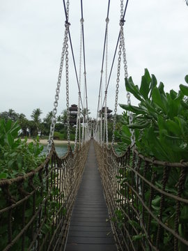 bridge path