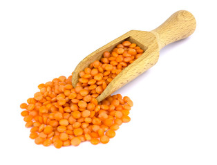 Lentil and scoop isolated on white background