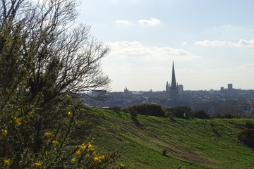 Fototapeta na wymiar Spring views of Norwich from Mousehold Heath, including Norwich Cathedral