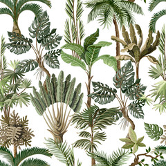 Naadloos patroon met exotische bomen zoals ons palm, monstera en banaan. Interieur vintage behang.