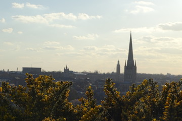 Fototapeta na wymiar Spring views of Norwich from Mousehold Heath, including Norwich Cathedral