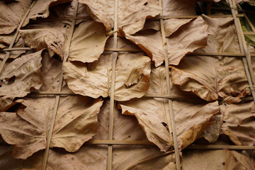 Dry leaf texture abstract background.