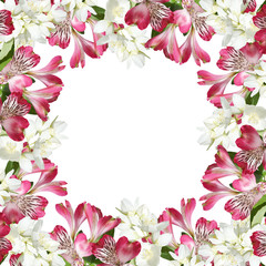 Beautiful floral background of Jasmine and Alstroemeria. Isolated 