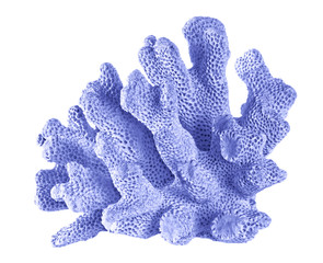 coral isolated on white background © Dmitry