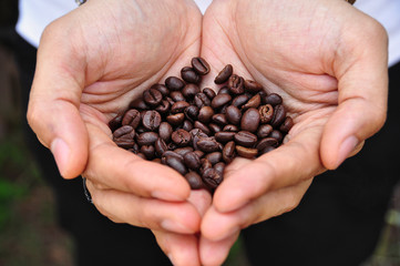 coffee bean on hand