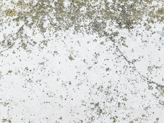 Great for textures and backgrounds. perfect background with space for your projects text or image