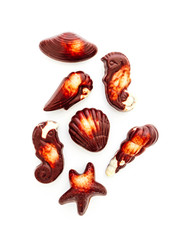 A set of marine Belgian chocolate praline candies, isolated on white background. Luxury dessert temptation concept.