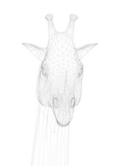 Polygonal giraffe head. Front view. Head of a giraffe from black lines on a white background. Vector illustration