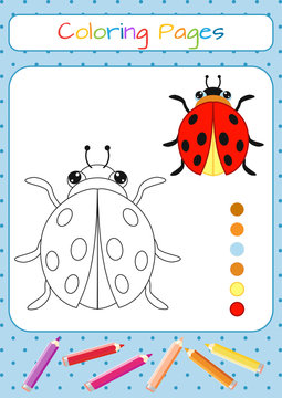 Funny little beetle  ladybug.  Coloring book. Educational game for children. Cartoon vector illustration