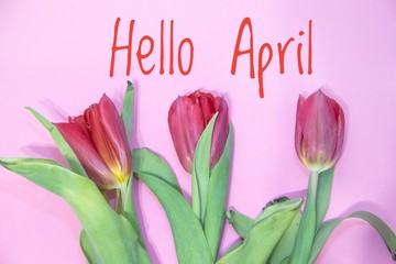 Banner hello april. Hi spring. The second month of spring. Welcome card