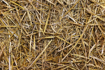 Close up of a straw background texture (high details).