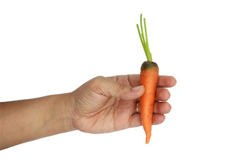 woman hand holding baby carrots isolated on black background.