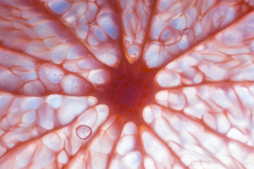 grapefruit closeup of a fresh orange